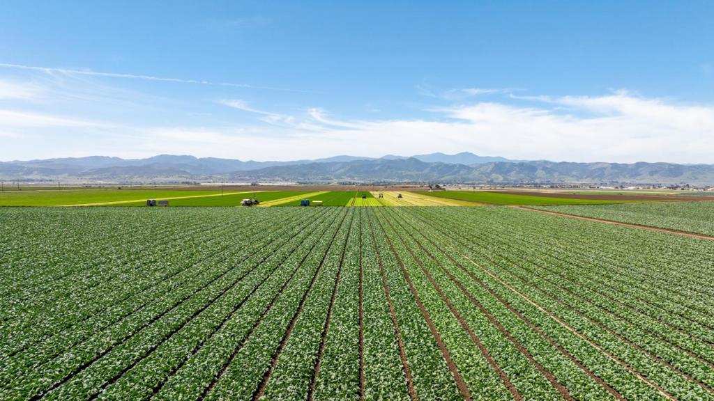 MLS #ML82012659 image #5