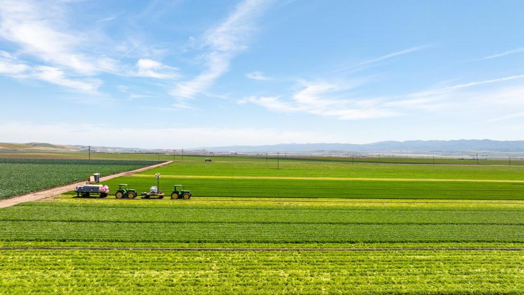 MLS #ML82012659 image #6