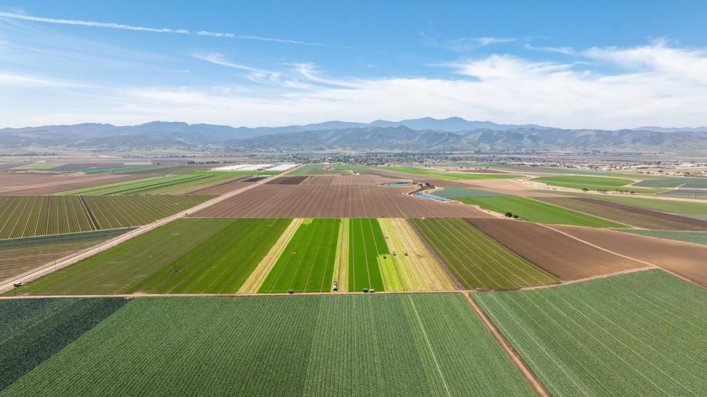 MLS #ML82012659 image #8