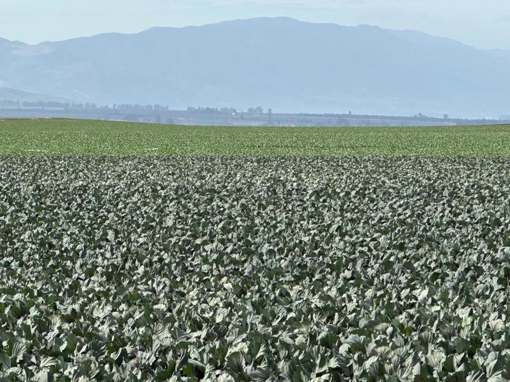 MLS #ML82012659 image #9