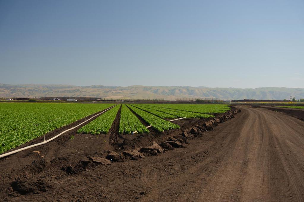 MLS #ML82015524 image #10