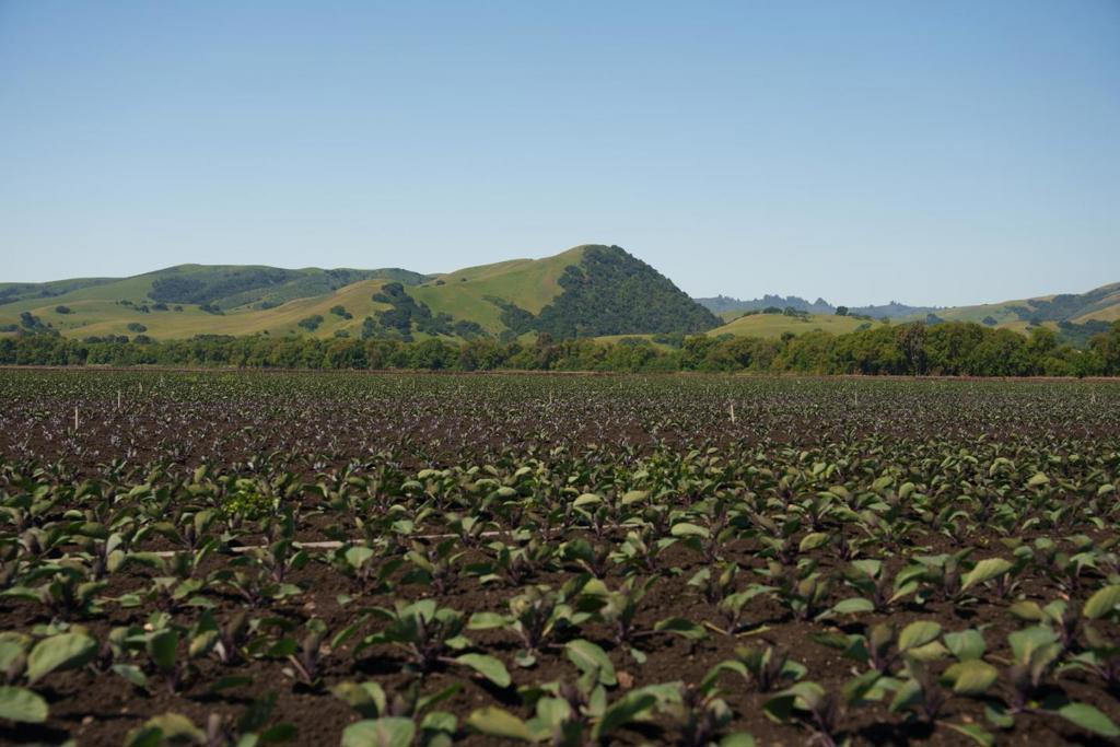 MLS #ML82015524 image #13