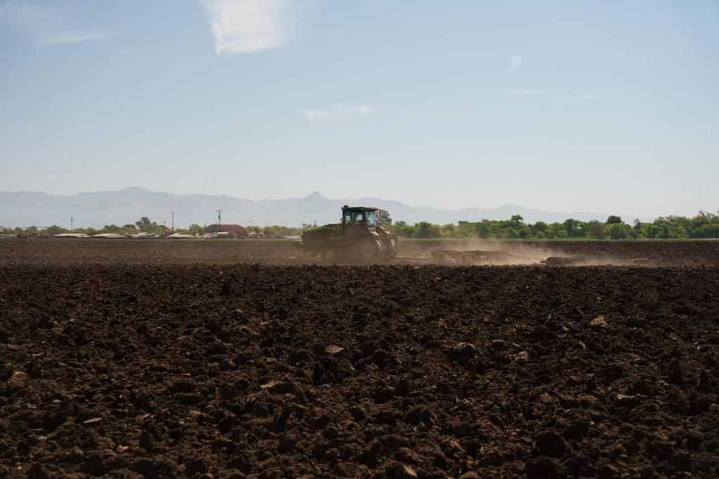 MLS #ML82015524 image #14