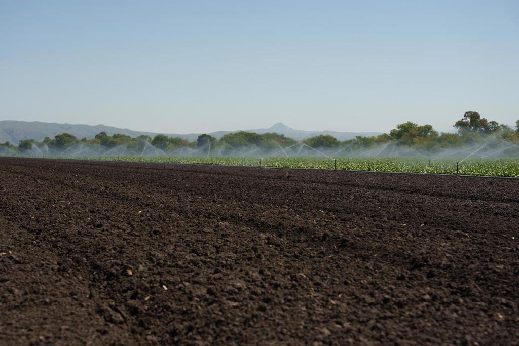 MLS #ML82015524 image #16