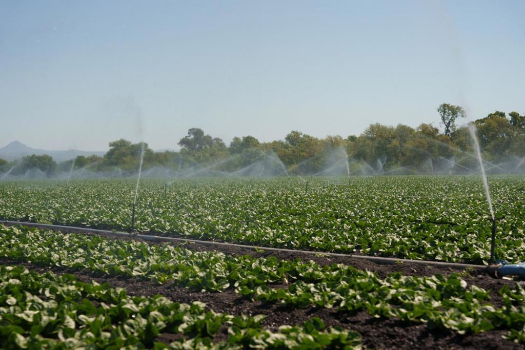 MLS #ML82015524 image #17