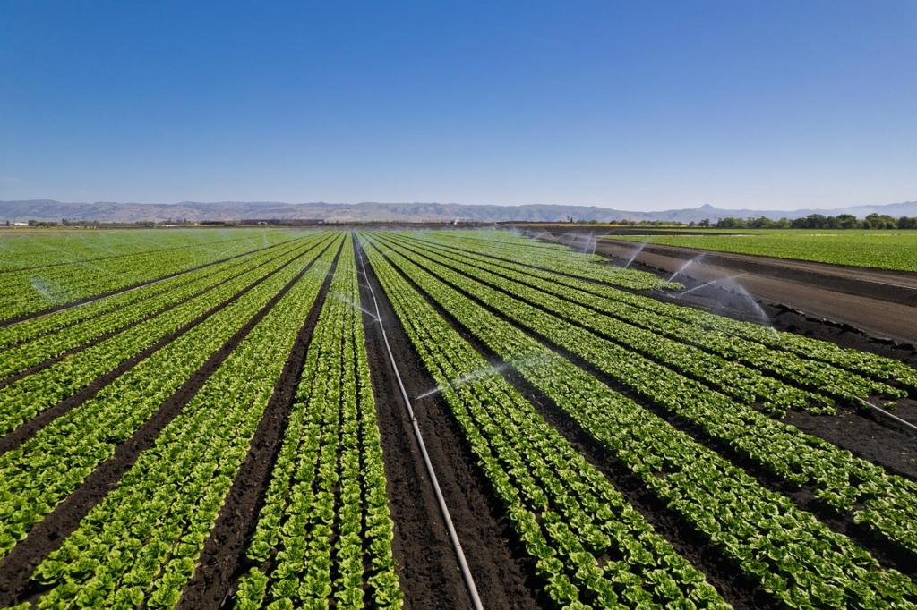 MLS #ML82015524 image #5