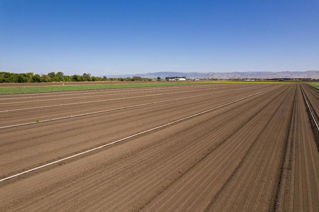 MLS #ML82015524 image #6