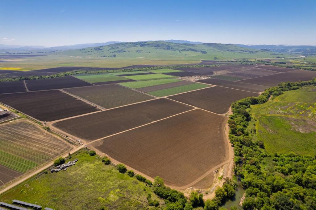 MLS #ML82015524 image #7