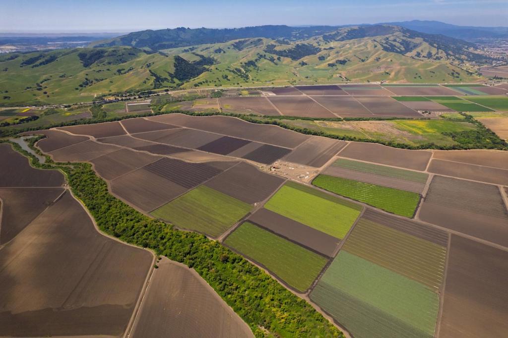 MLS #ML82015524 image #8