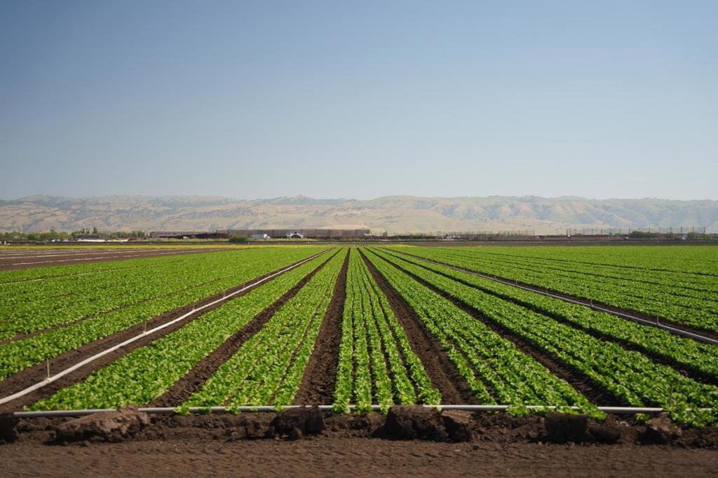 MLS #ML82015524 image #9