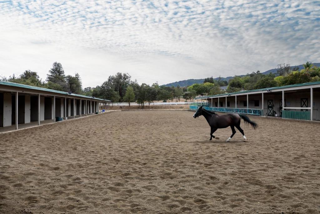 MLS #ML82025383 image #60