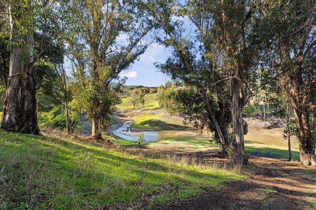 MLS #ML82029988 image #18