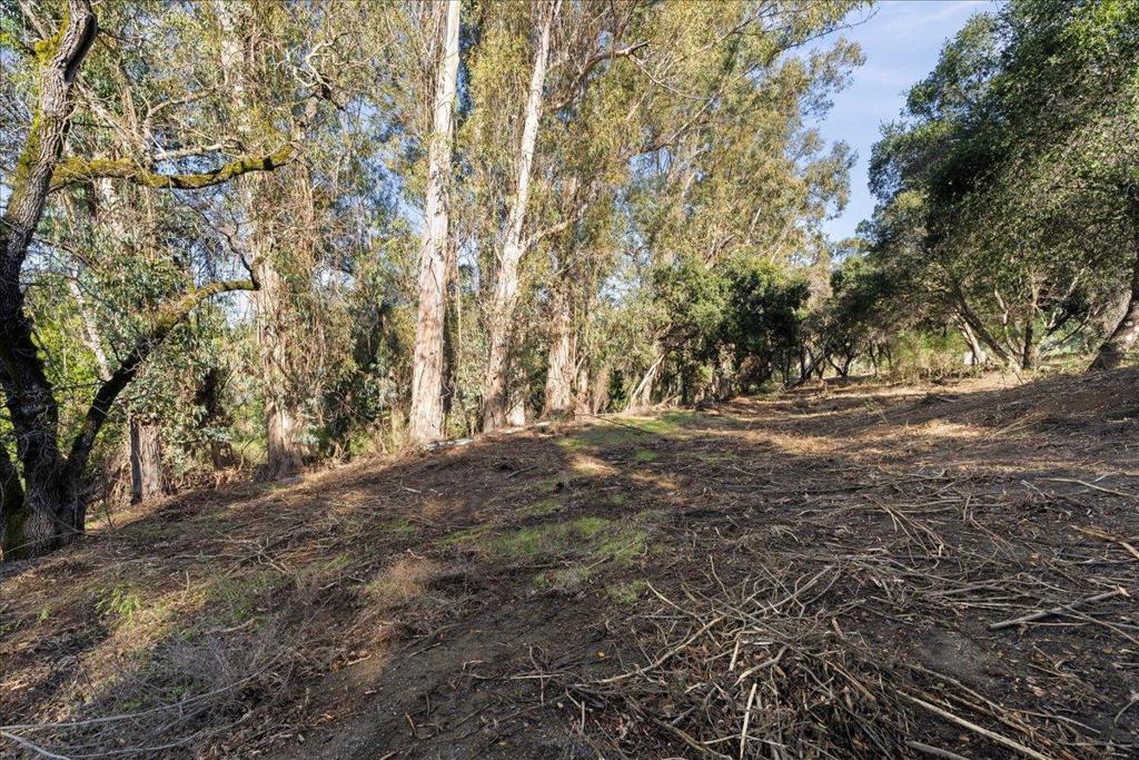 MLS #ML82029988 image #5