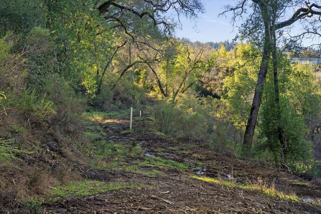 MLS #ML82029988 image #6