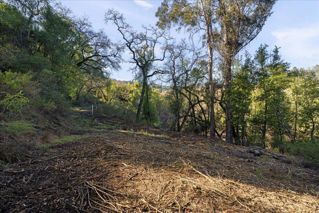 MLS #ML82029988 image #7