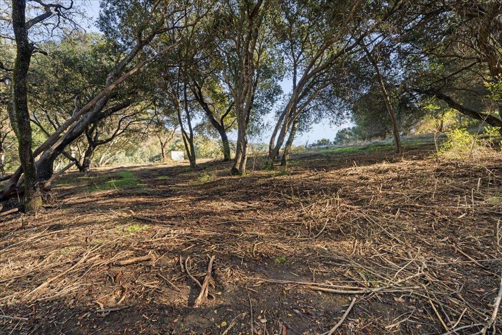 MLS #ML82029988 image #8