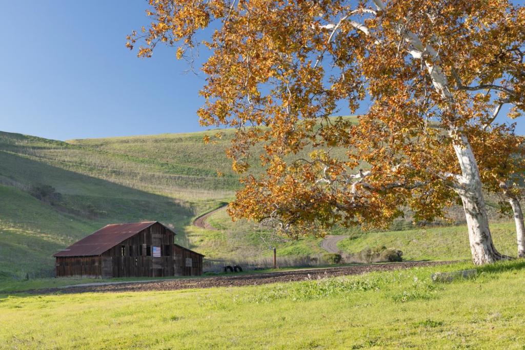 MLS #ML82030900 image #10