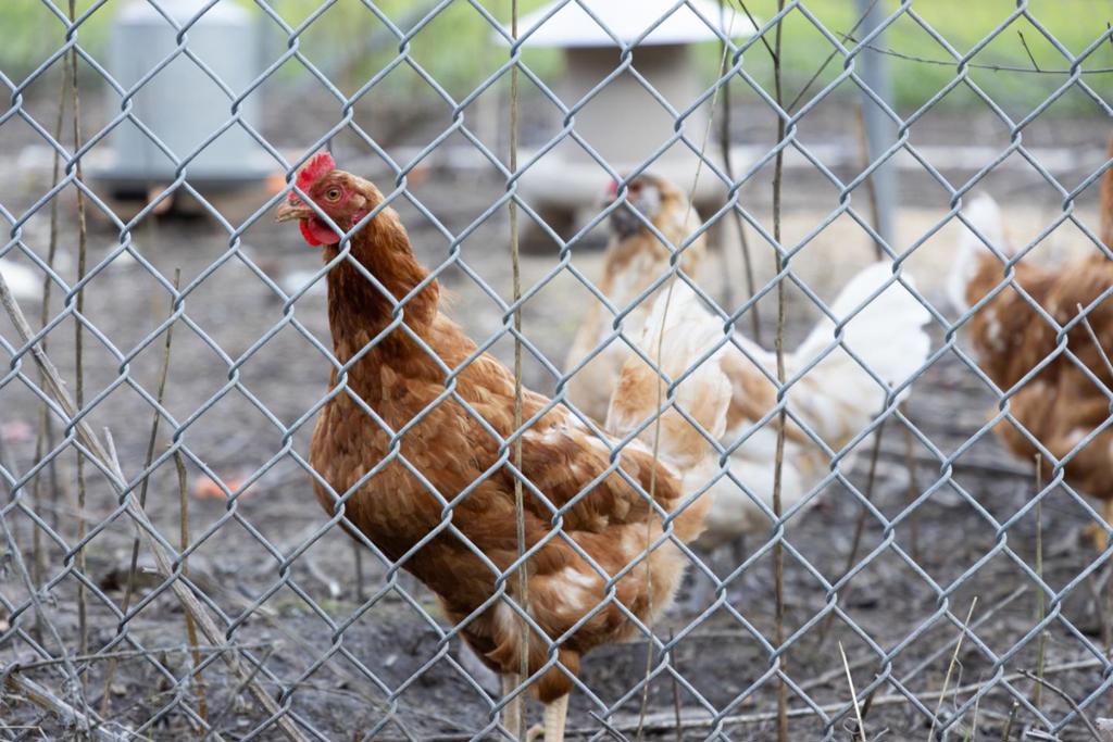 MLS #ML82030900 image #16