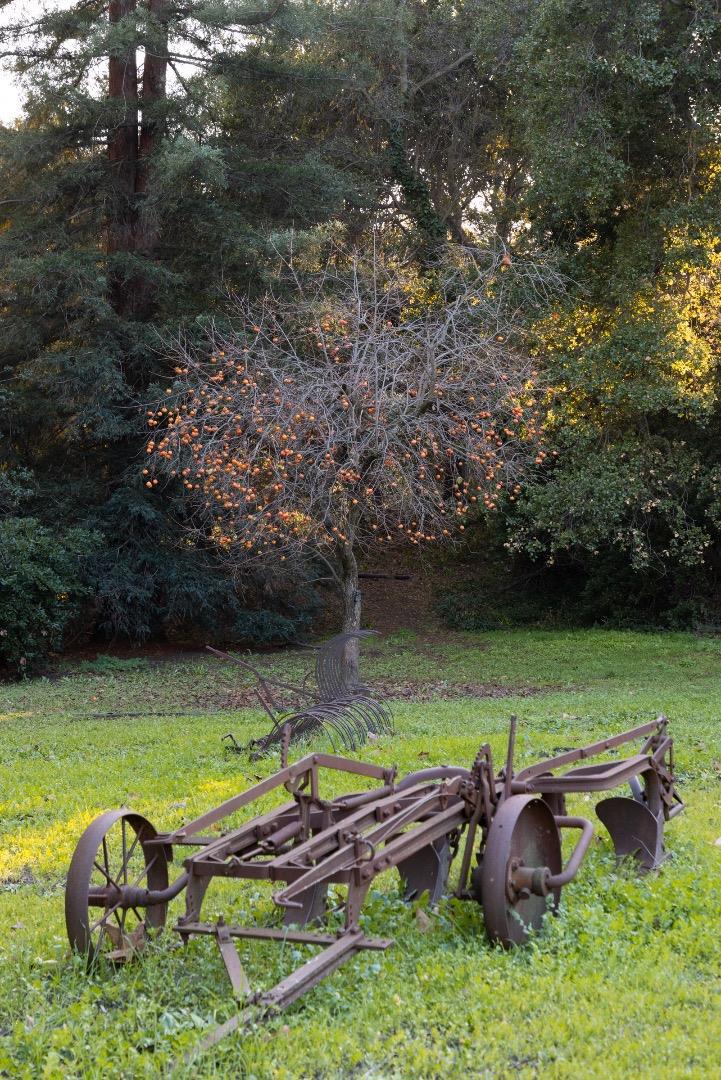 MLS #ML82030900 image #17