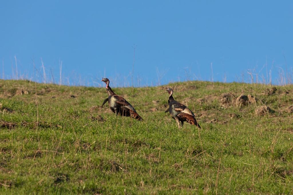 MLS #ML82030900 image #18