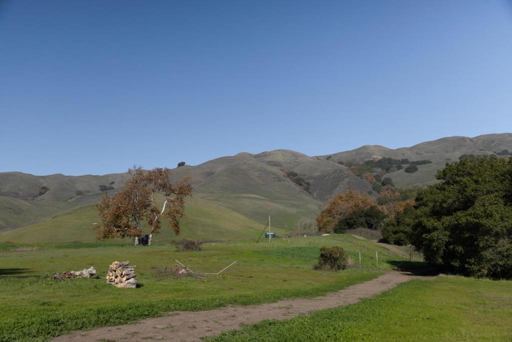 MLS #ML82030900 image #3