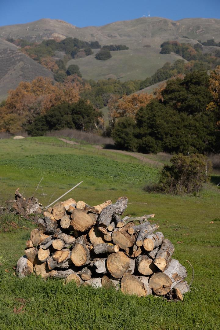 MLS #ML82030900 image #4