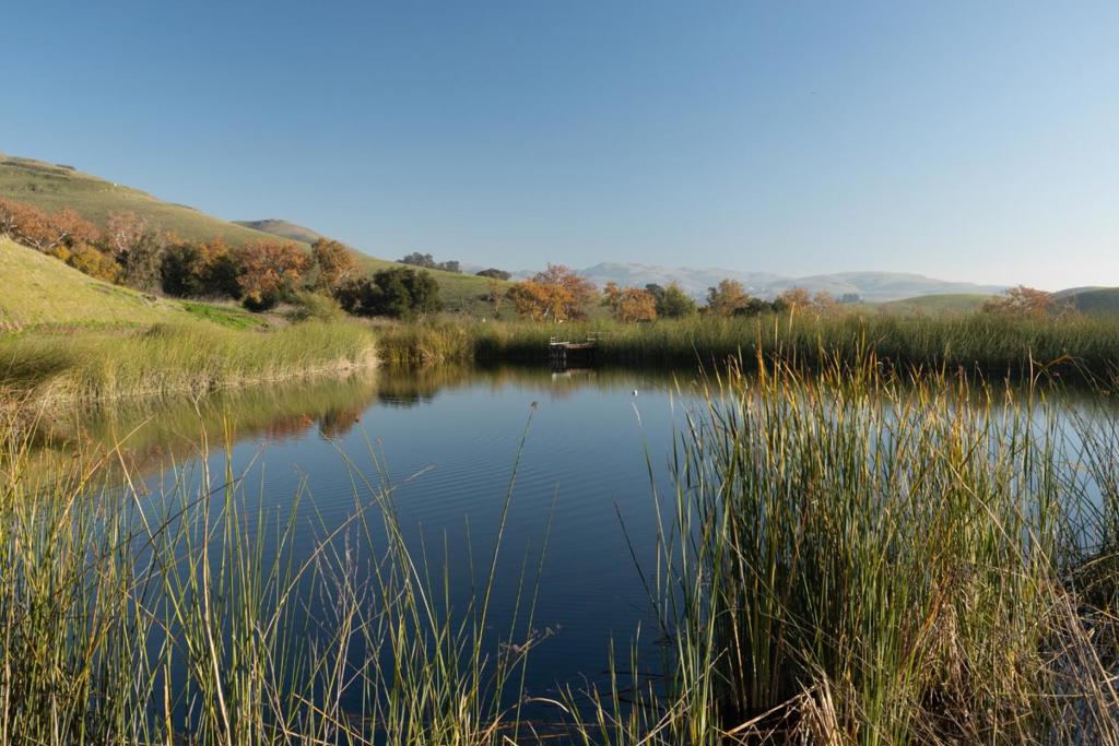 MLS #ML82030900 image #5