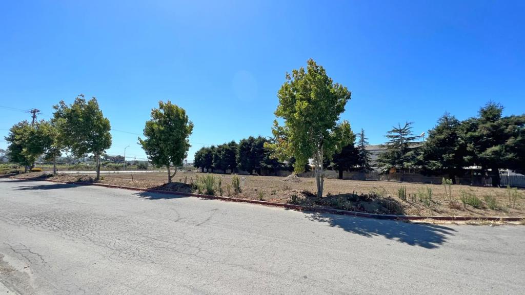 MLS #ML82034958 image #13