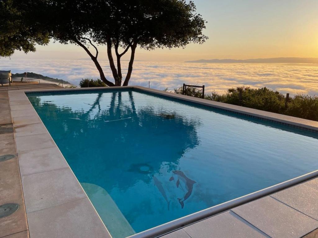 MLS #ML82035093 image #26