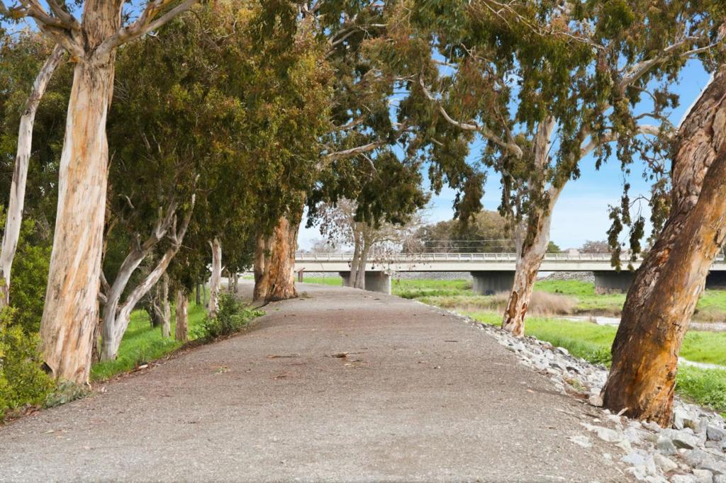 MLS #ML82036025 image #69