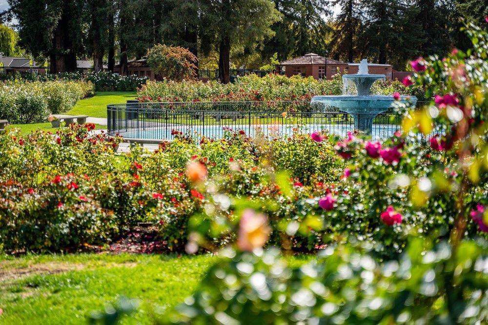 MLS #ML82037063 image #74