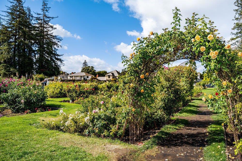 MLS #ML82037063 image #75