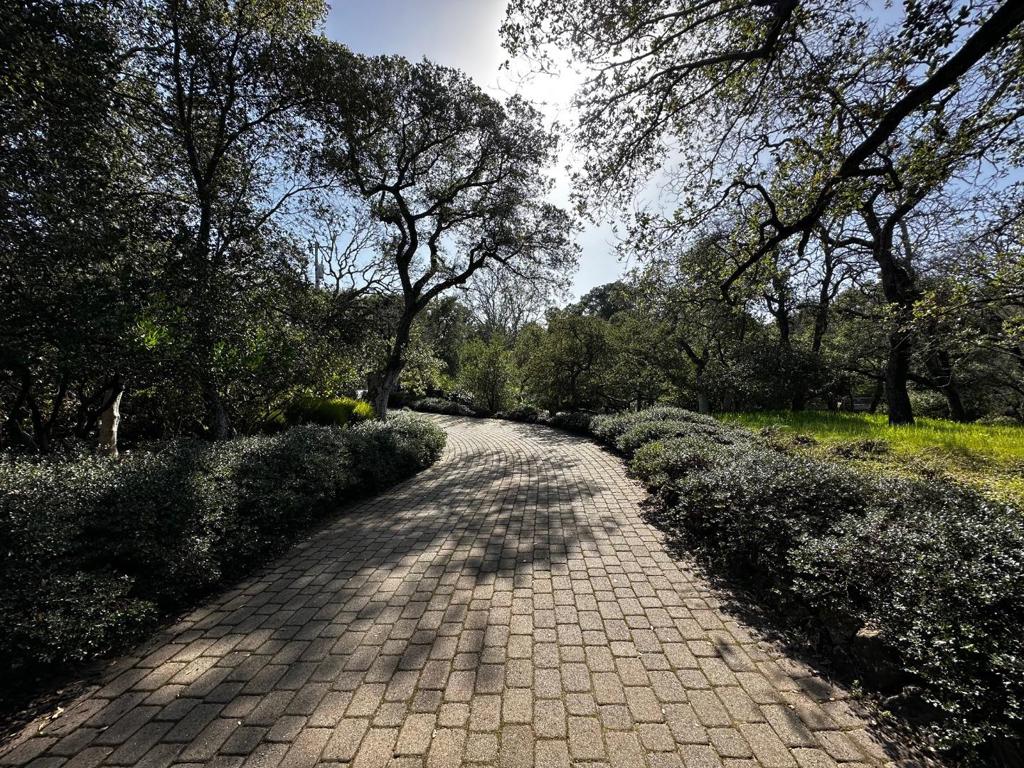 MLS #ML82037243 image #27