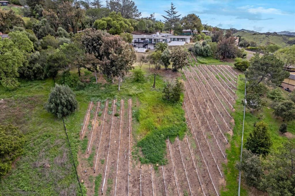 MLS #ML82037282 image #13