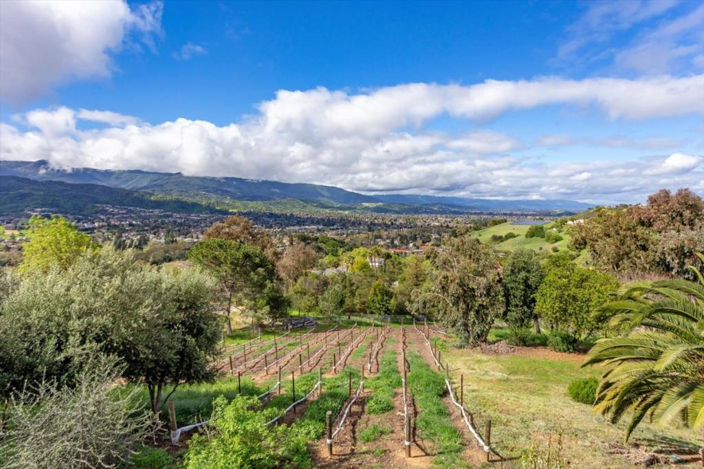 MLS #ML82037282 image #75