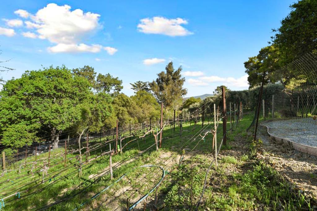 MLS #ML82038157 image #32