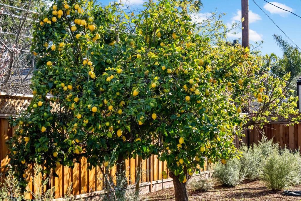 MLS #ML82038749 image #10