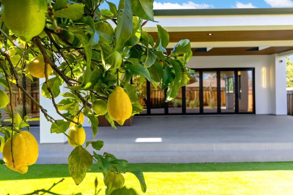 MLS #ML82038749 image #9