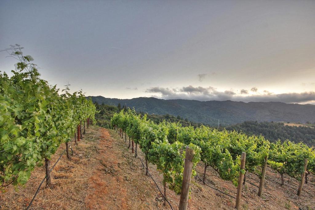 MLS #ML82038978 image #30