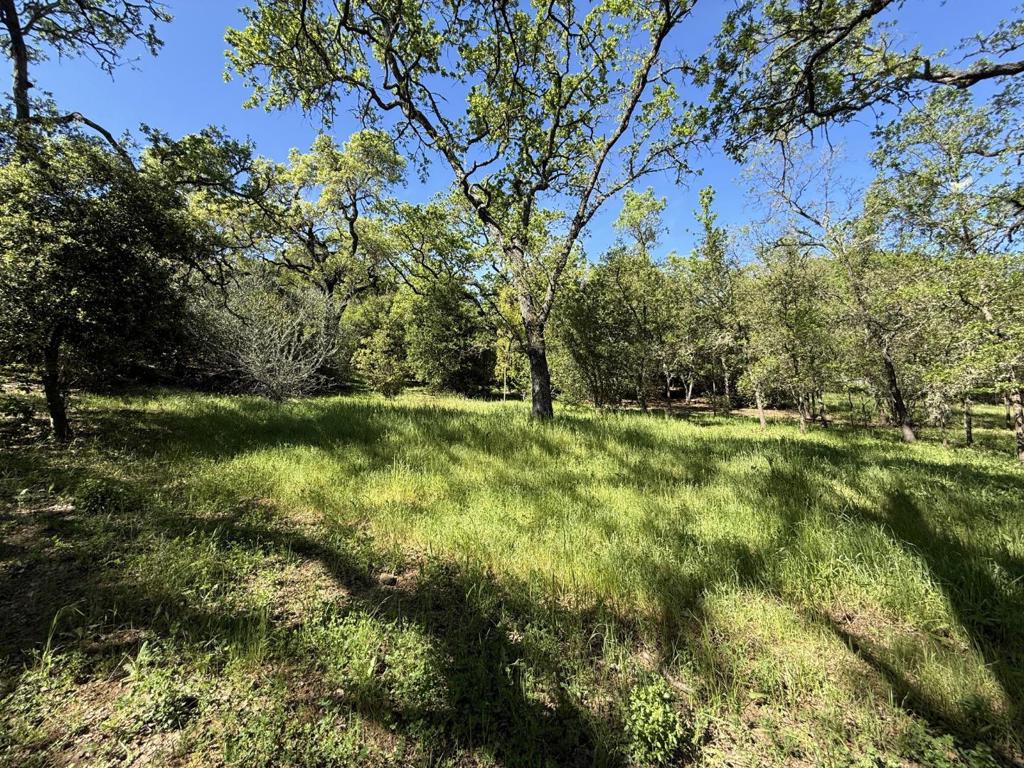 MLS #ML82038994 image #60