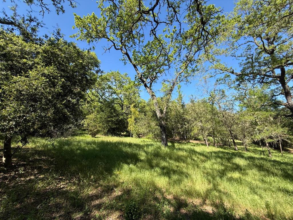 MLS #ML82038994 image #61