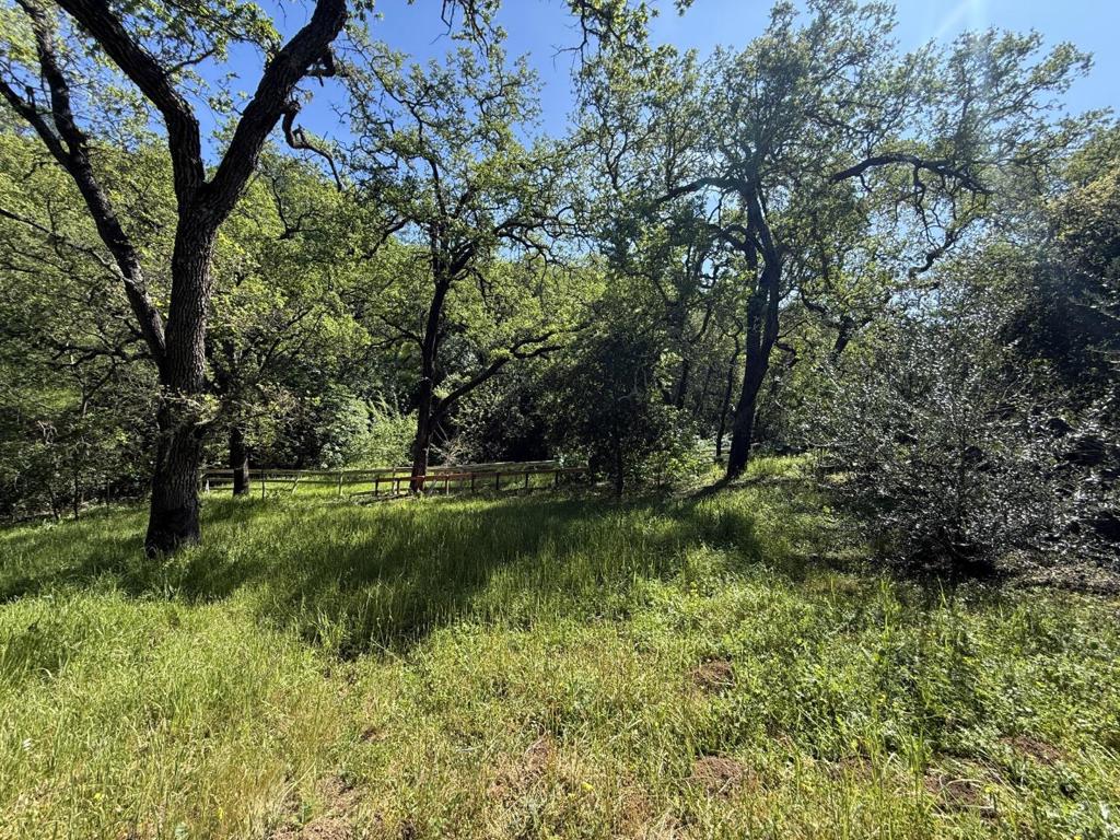 MLS #ML82038994 image #62