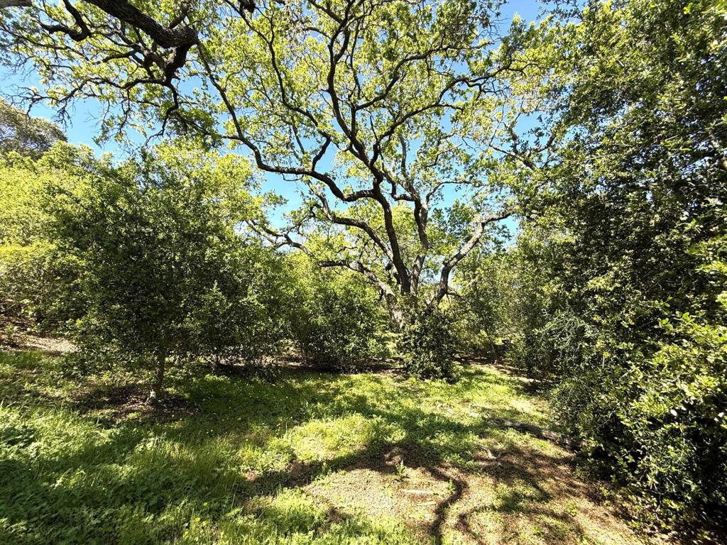 MLS #ML82038994 image #63