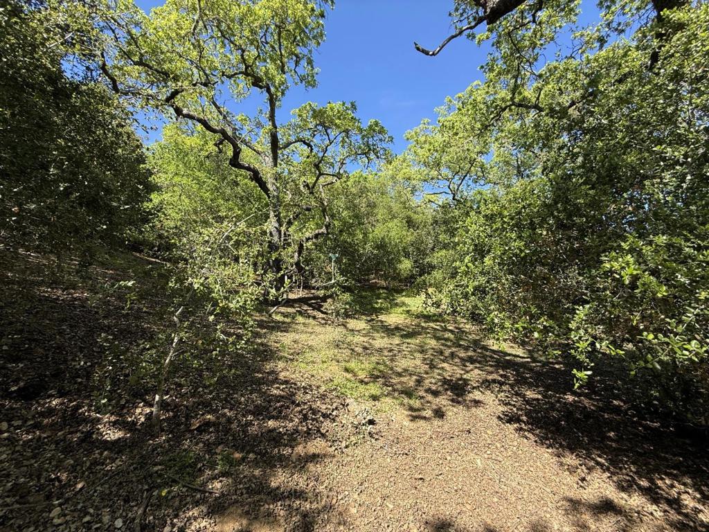 MLS #ML82038994 image #64