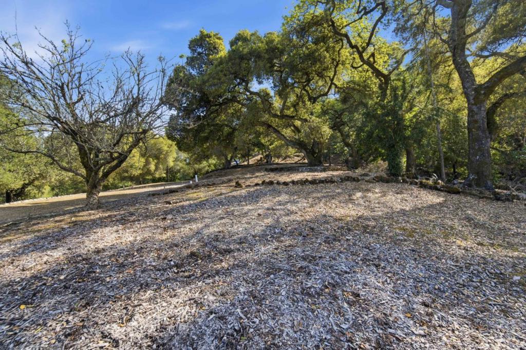 MLS #ML82039173 image #24