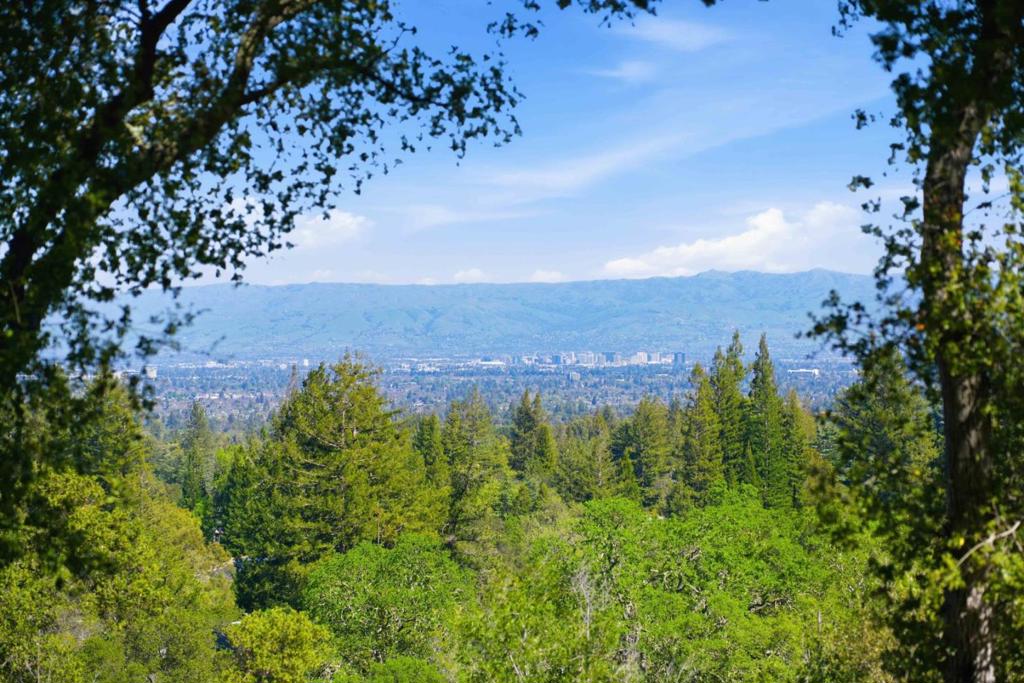 MLS #ML82039173 image #7