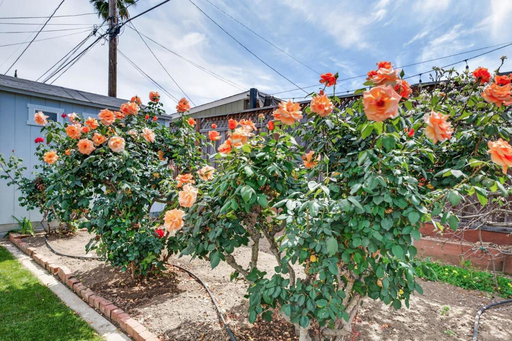 MLS #ML82040728 image #32