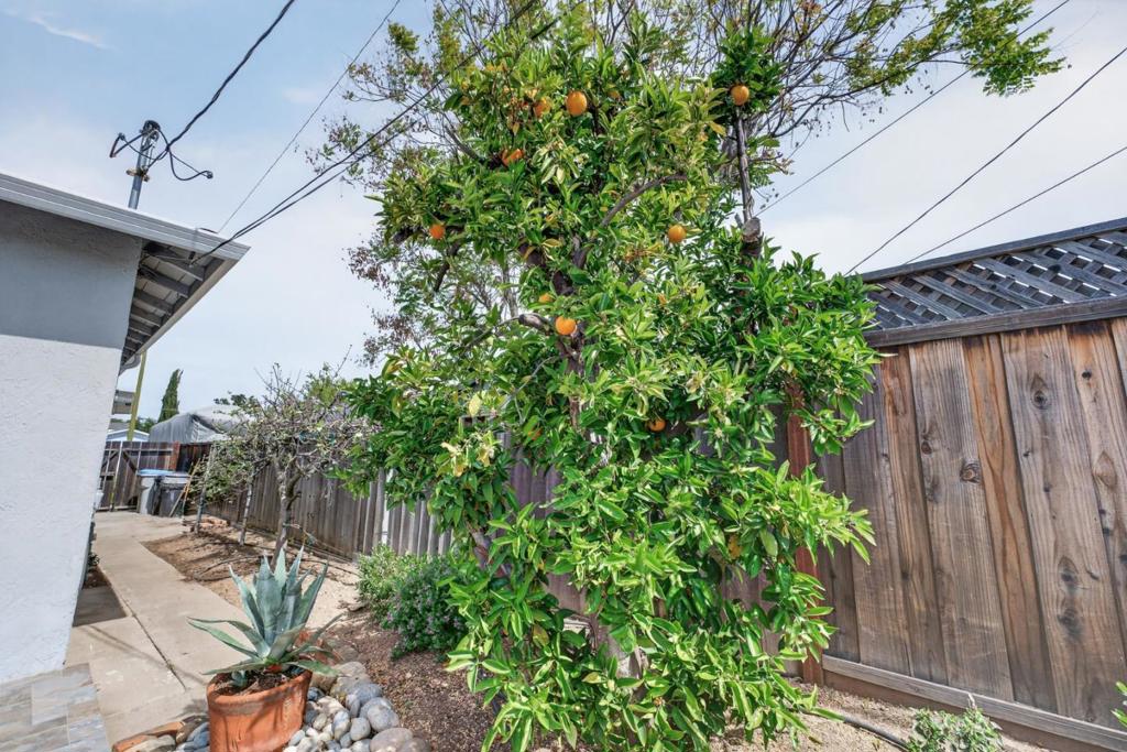 MLS #ML82040728 image #35