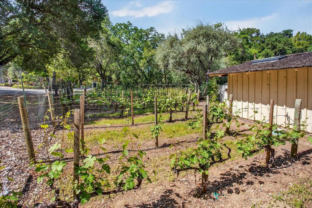 MLS #ML82040914 image #35