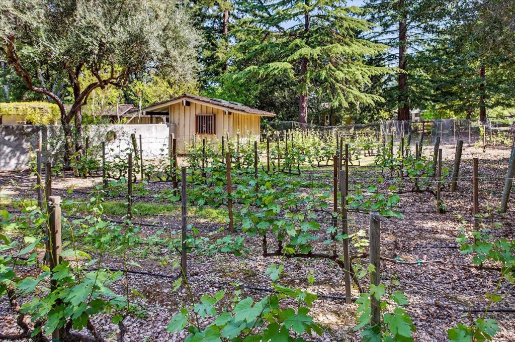 MLS #ML82040914 image #36